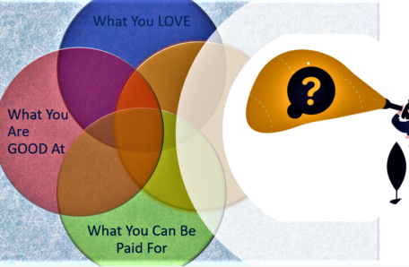 Niche selection with Ikigai